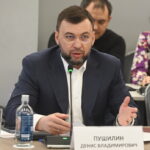 Денис Пушилин выступил на заседании Комиссии Госсовета РФ по энергетике с